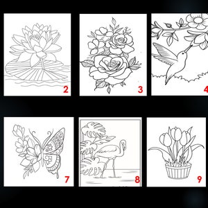 Spring | flowers Paint and Sip | Lotus | Pre drawn Outline Canvas | Bird Butterfly Flower |Flamingo painting | Tulip | Canvas Adult Painting