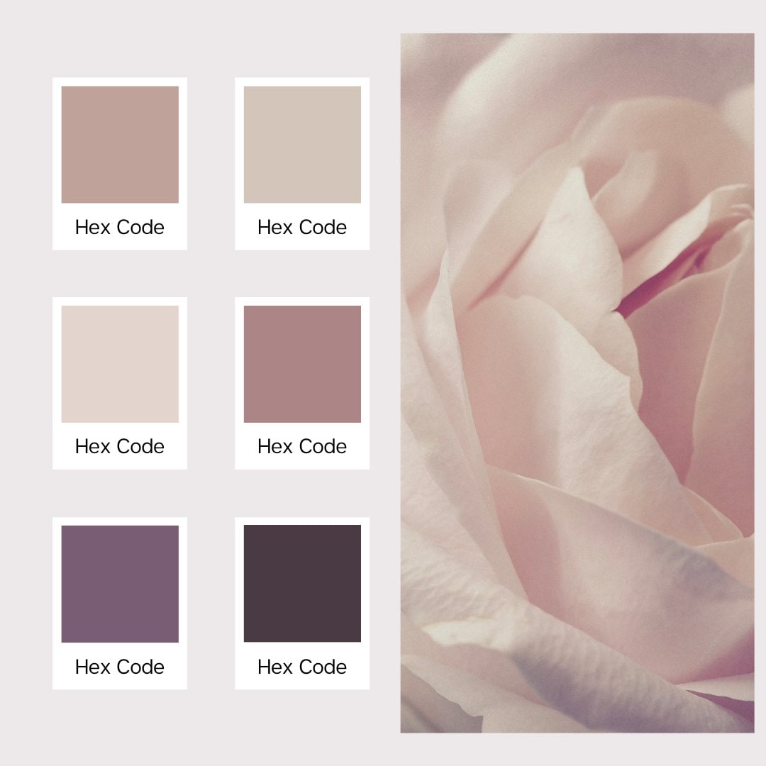 Dusty Rose Color Palette, Boho Color Palette, Branding Color Palette, Brand  Color Palette -  Canada