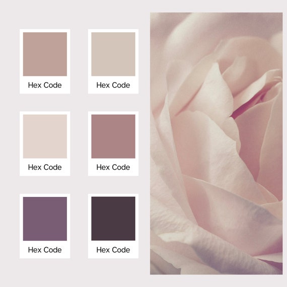 Dusty Rose Color Palette, Boho Color Palette, Branding Color Palette, Brand  Color Palette