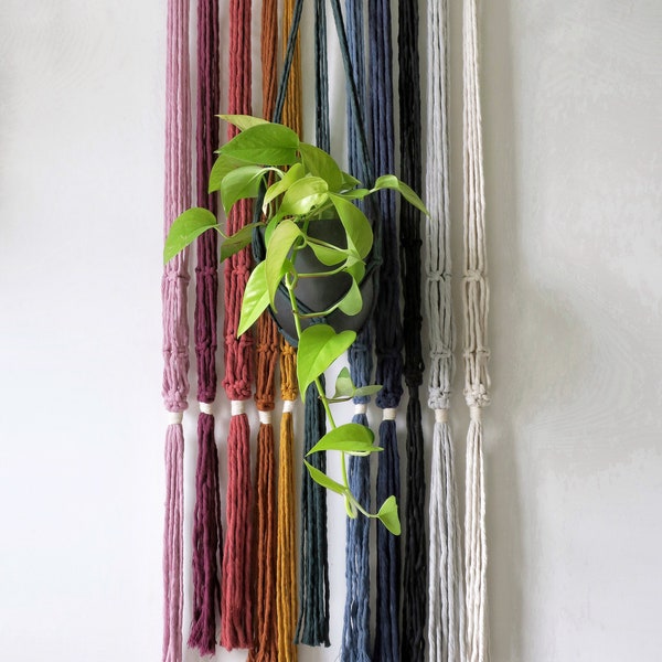 Minimalist Macrame Plant Hanger - medium sized plant