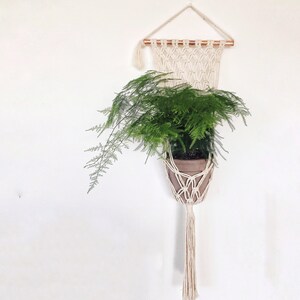 Macrame Wall Plant Hanger, Copper Pipe, Medium Plants, Triangle design