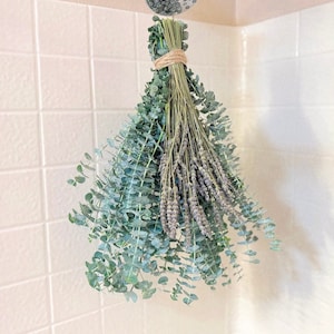 Deluxe Fresh Eucalyptus Lavender Shower Bundle, Eucalyptus Shower Plant, Eucalyptus Shower Bundle,  Eucalyptus Plant, Fresh Eucalyptus