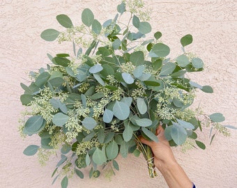 Seeded Eucalyptus Bundle Fresh/Dried | Wedding Foliage Greenery