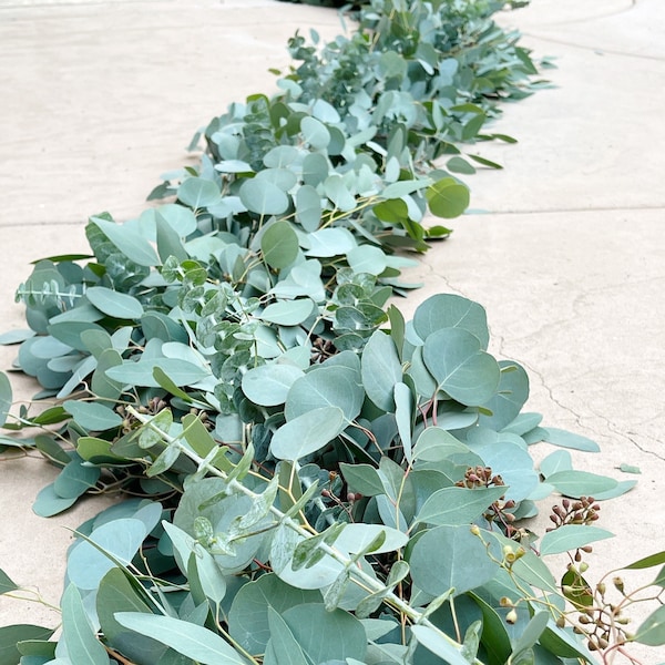 Fresh Eucalyptus Garland | Mixed Eucalyptus Garland | Eucalyptus Wedding Garland | Garland Decor | Fresh Eucalyptus Garland | Fresh Garland