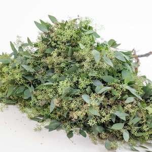 Bulk Seeded Eucalyptus Bundle Fresh | Wedding Foliage Greenery