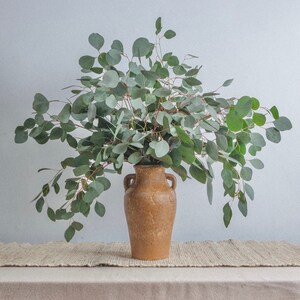 Silver Dollar Eucalyptus Bunch | Eucalyptus Decor | Fresh/Dry | Silver Dollar Eucalyptus Plant | Wedding Eucalyptus