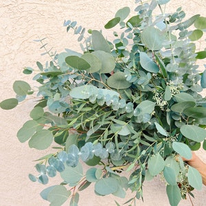 Jumbo Mixed Eucalyptus Bouquet Fresh/Dried | Wedding Foliage Greenery | Fresh Eucalyptus