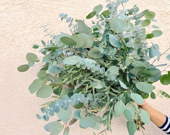 Jumbo Mixed Eucalyptus Bouquet Fresh/Dried | Wedding Foliage Greenery