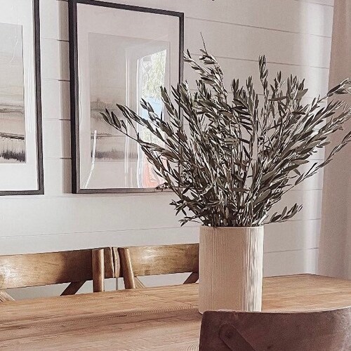 Fresh/dry Olive Branches Olive Branch Olive Branch Decor Etsy