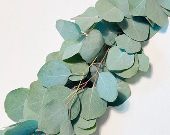 Fresh Silver Dollar Eucalyptus Garland | Wedding Garland | Table Runner | Overnight Silver Dollar Garland | Free Overnight Delivery