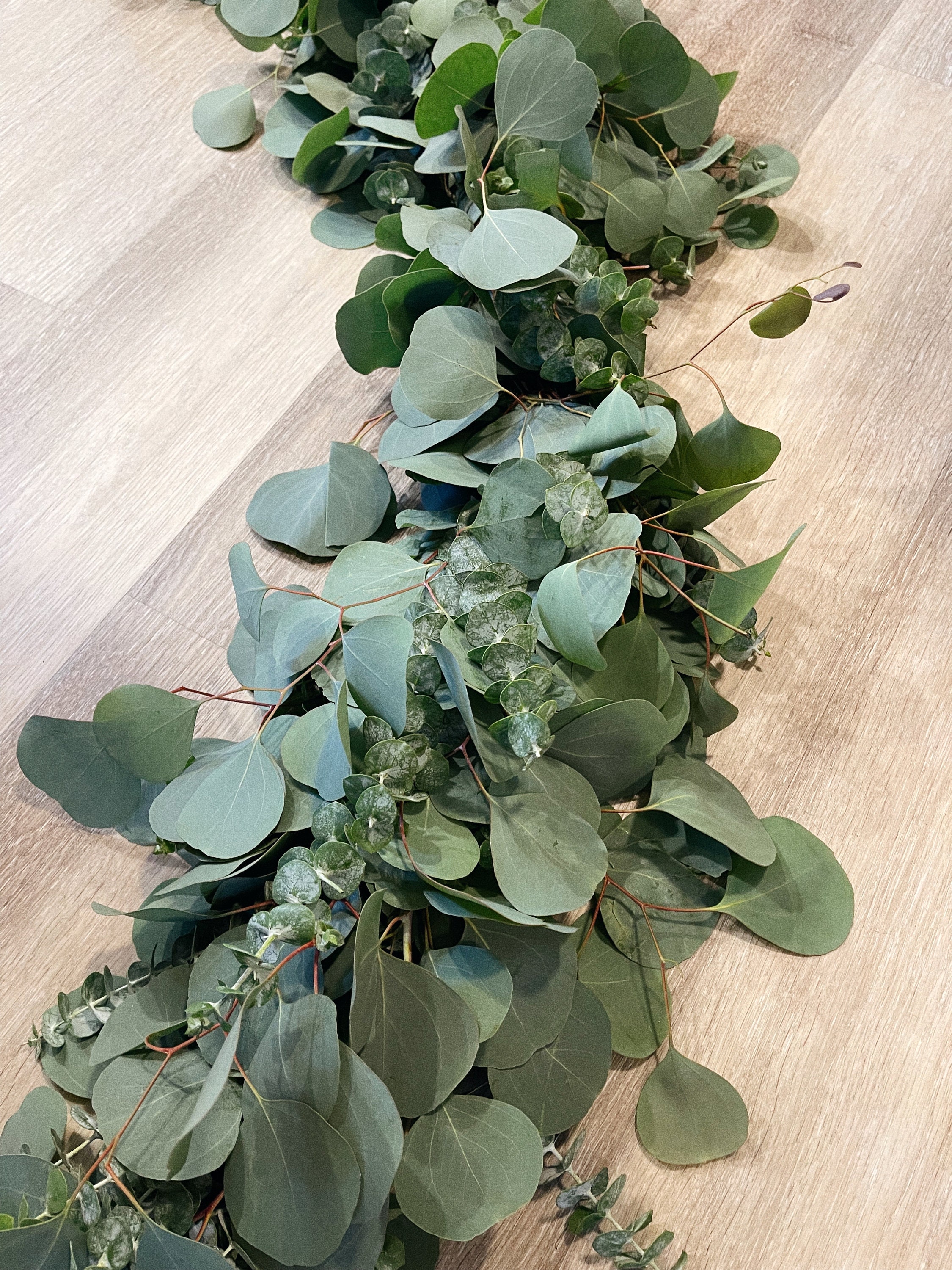 6ft Fresh/dried Mixed Eucalyptus Garland Eucalyptus Garland Etsy