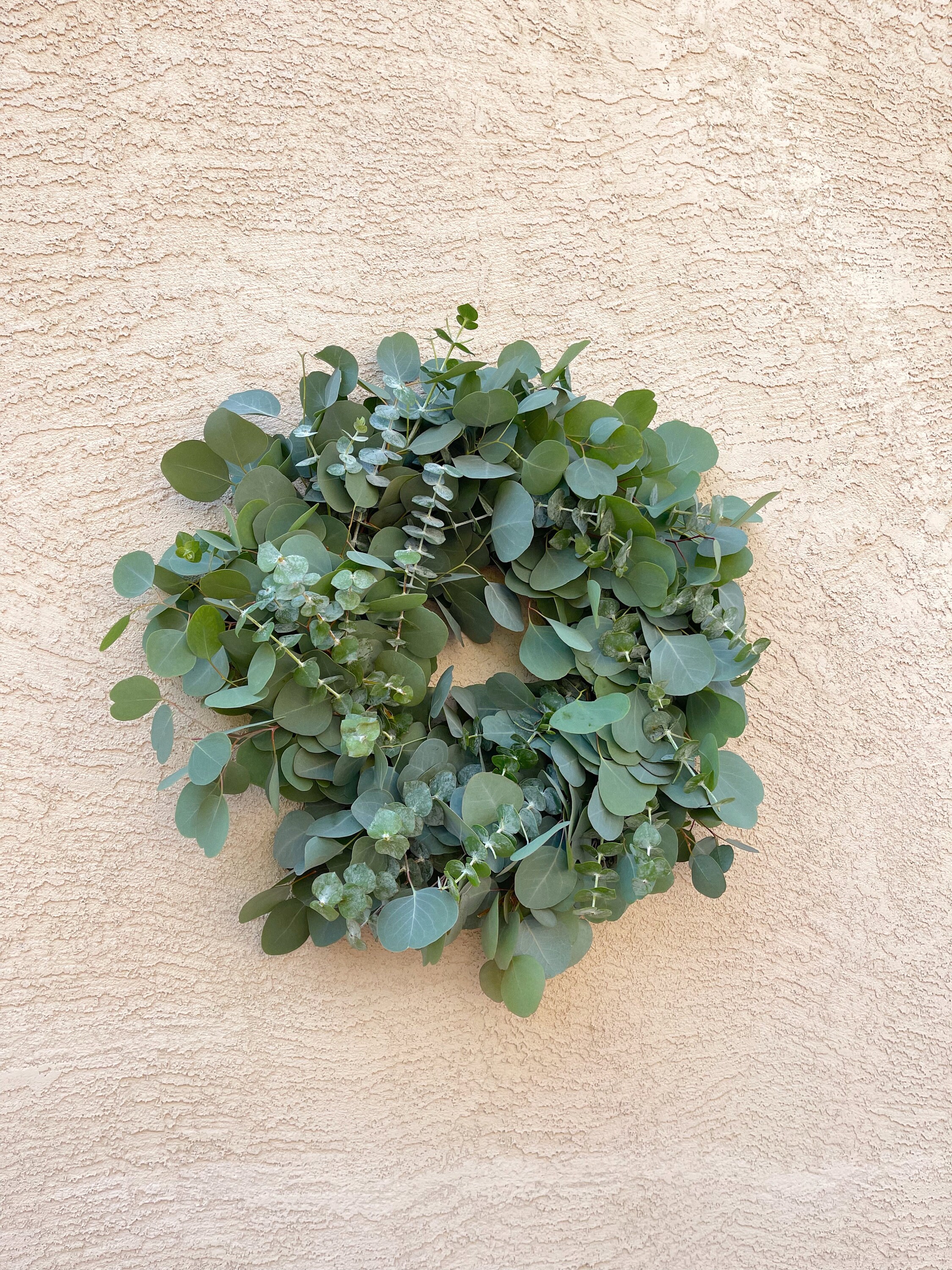 Large Fresh/dried Eucalyptus Wreath Door Wreath Eucalyptus Etsy