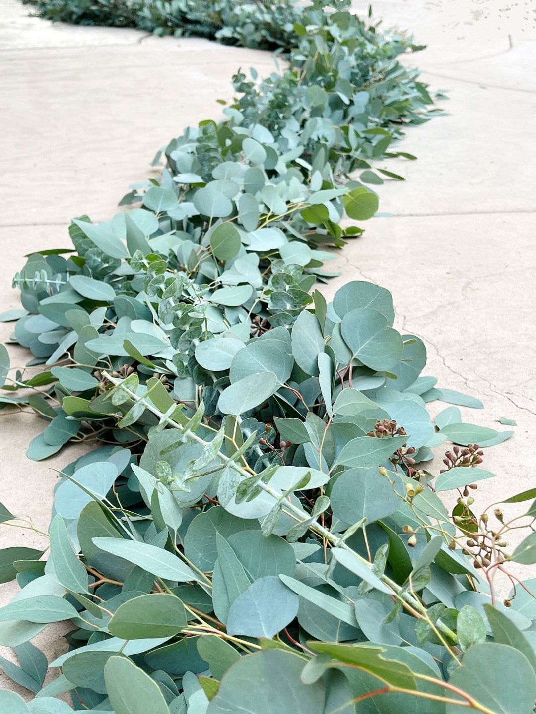 Fresh Eucalyptus Garland Mixed Eucalyptus Garland Eucalyptus Wedding