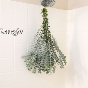May include: A bundle of fresh eucalyptus leaves hangs from a shower head. The leaves are a muted green color and are tied together with twine. The word "Large" is written in black text on the white tiled wall.