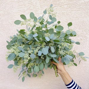 Seeded Eucalyptus Bundle Fresh/Dry | Wedding Foliage Greenery
