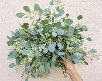 Seeded Eucalyptus Bundle Fresh/Dry | Wedding Foliage Greenery