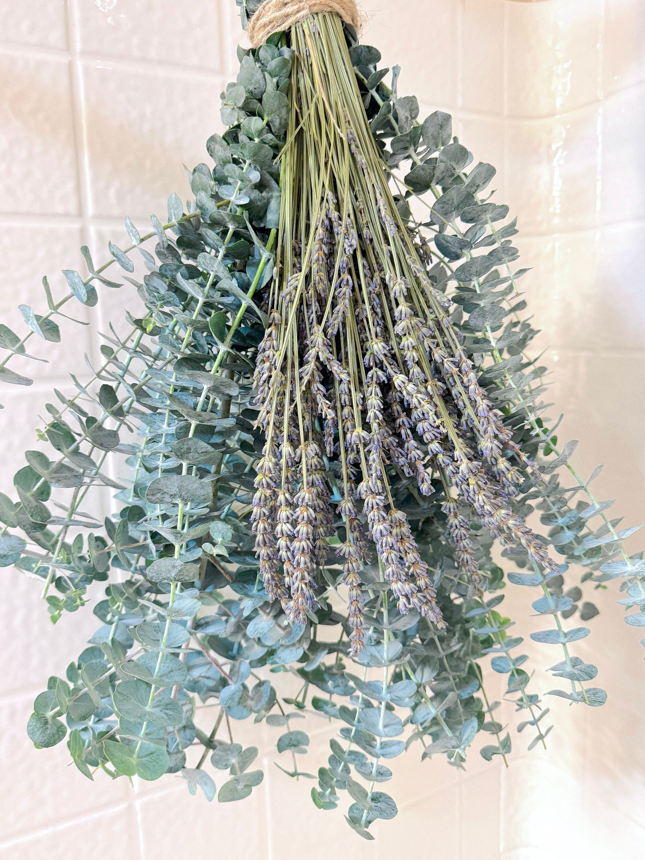 Deluxe Fresh Eucalyptus Lavender Shower Bundle, Eucalyptus Shower Plant ...