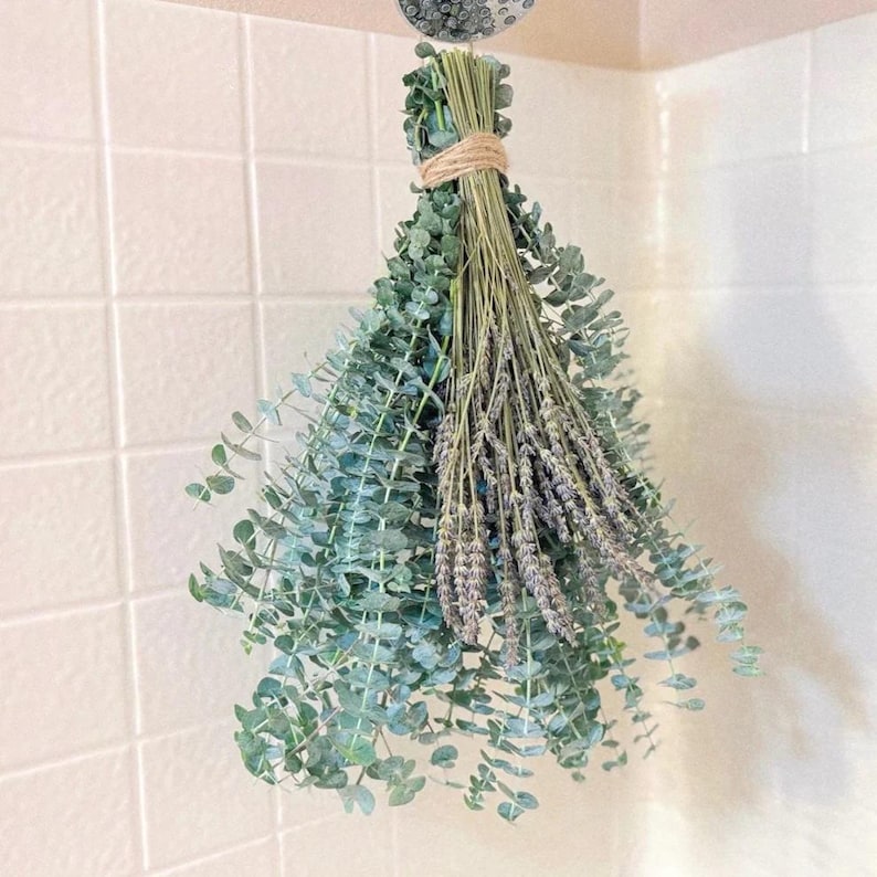 May include: A bundle of fresh eucalyptus and lavender hanging in a shower. The eucalyptus has round, blue-green leaves, and the lavender has purple flower spikes. The bundle is tied with twine and is suspended from a shower head.