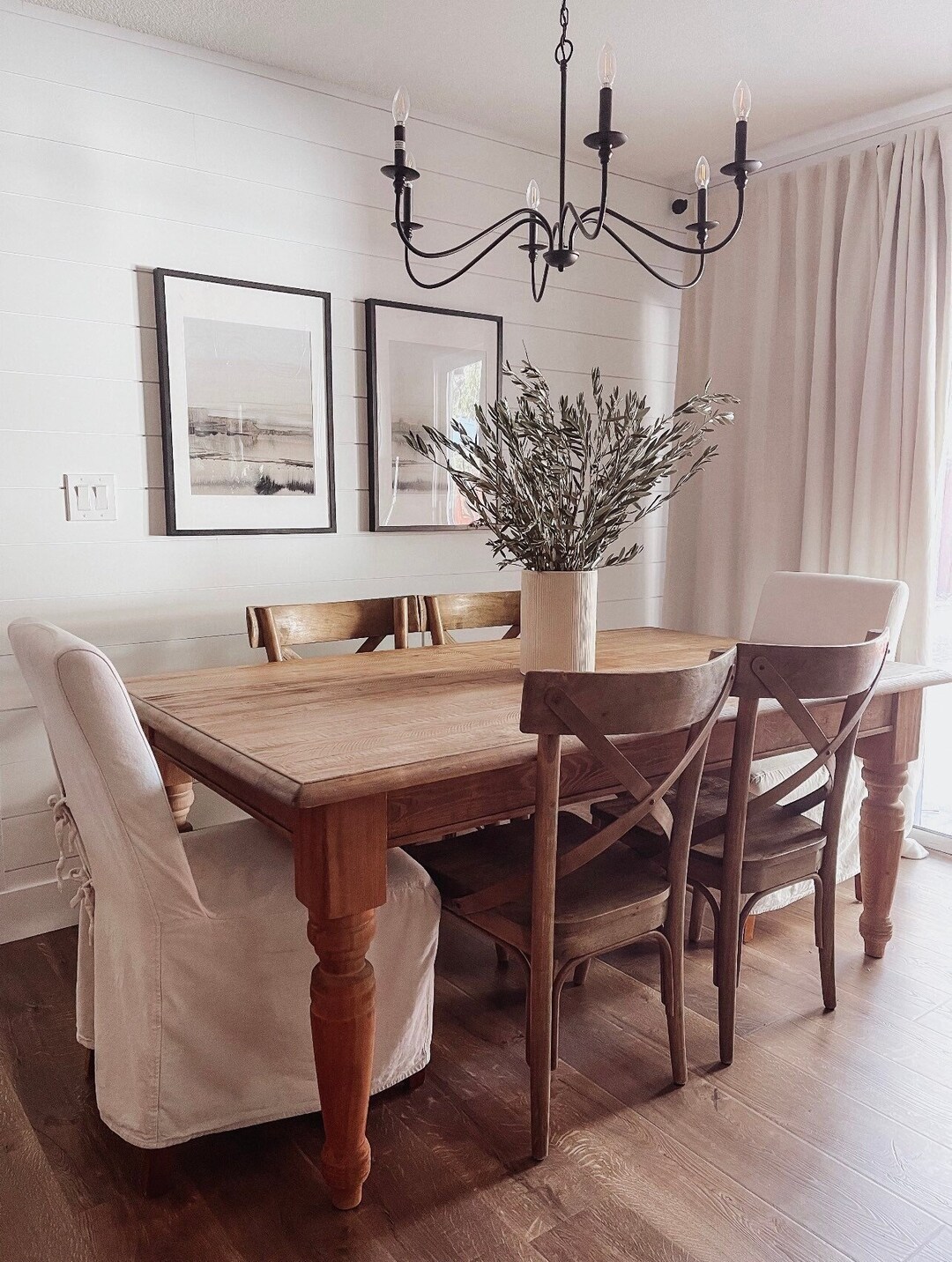 Fresh/Dry Olive Branches | Olive Branch | Olive Branch Decor