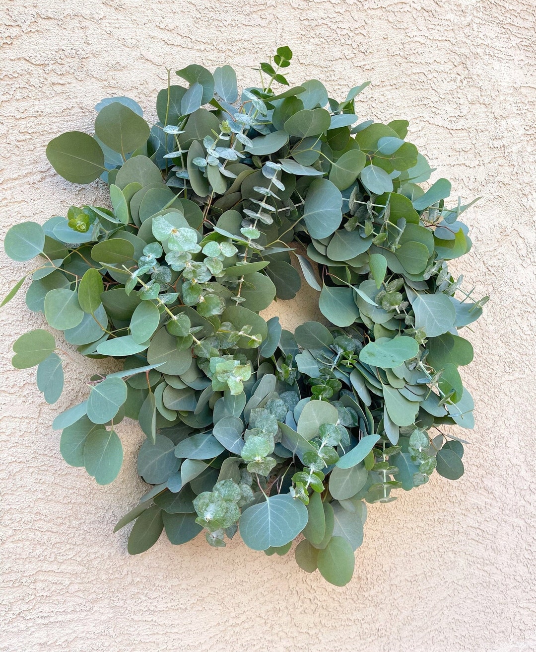 Large Fresh/dried Eucalyptus Wreath Door Wreath Eucalyptus Etsy
