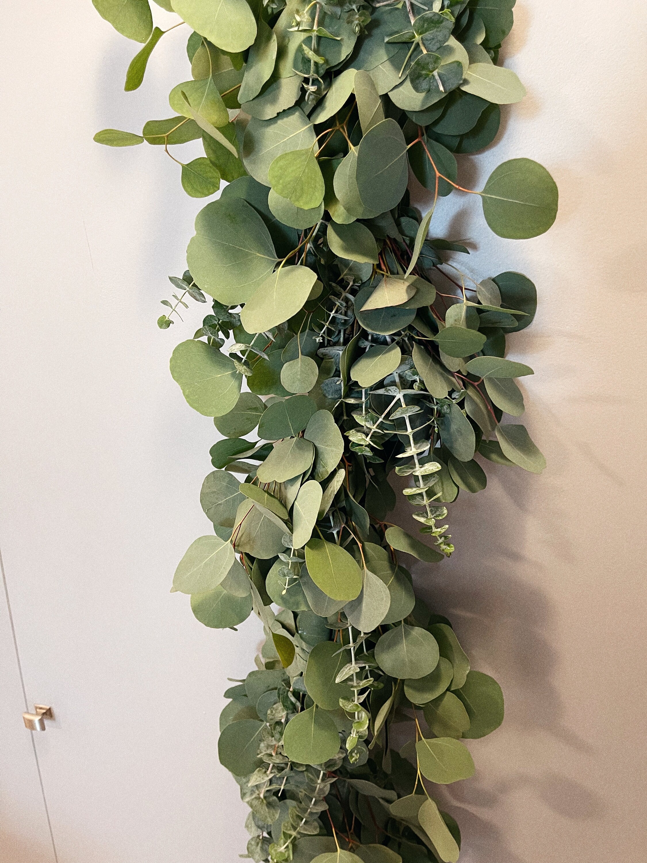 6ft Fresh/dried Mixed Eucalyptus Garland Eucalyptus Garland Etsy