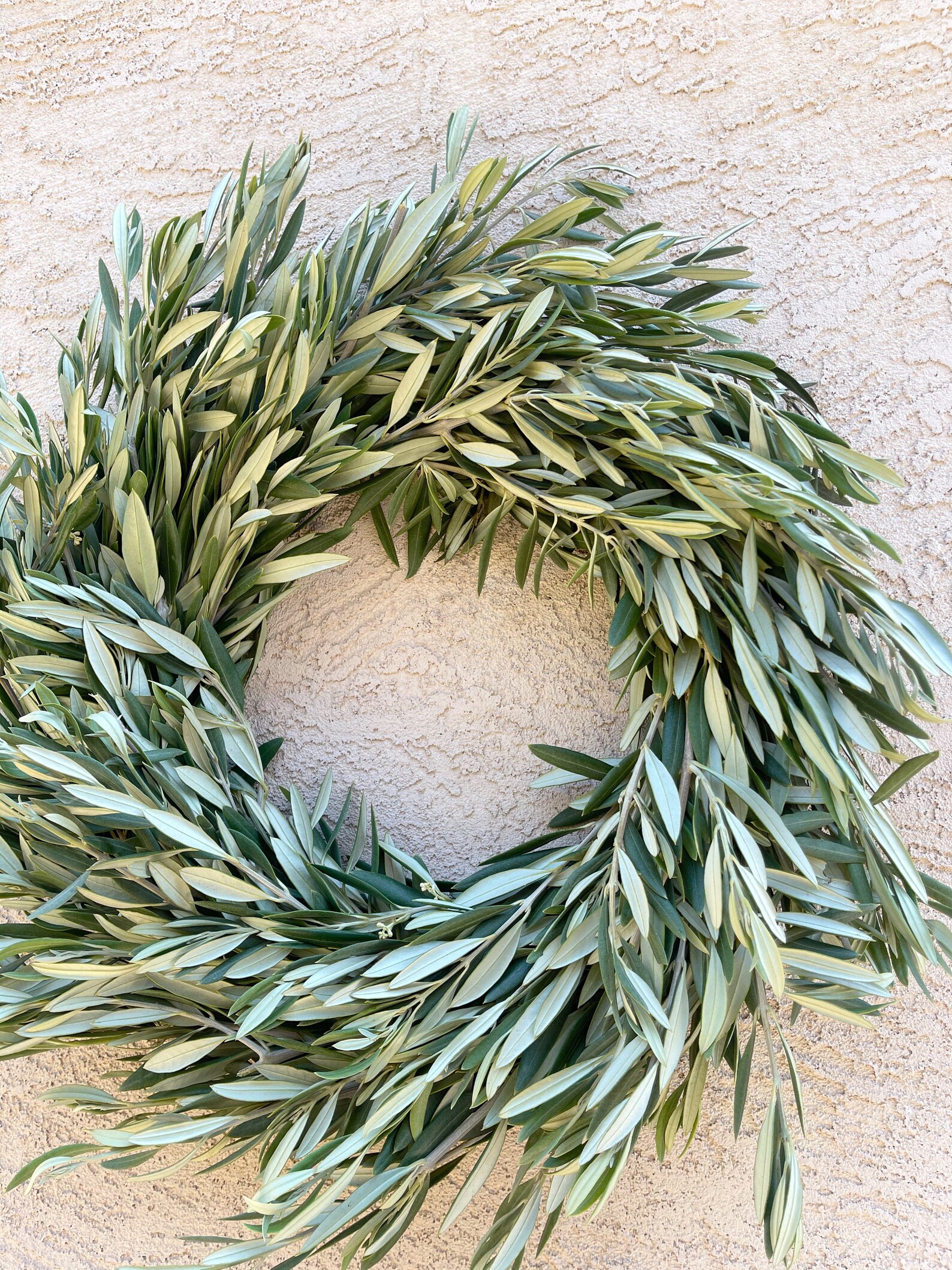 15 or 18in Real Olive Wreath Fresh / Dry Olive Branch Wreath Etsy