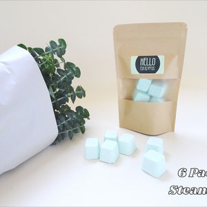 May include: A kraft paper bag with a clear window containing six light blue cube-shaped bath steamers. The bag has a label that reads "Hello Eucalyptus." Six additional steamers are arranged in front of the bag. A bundle of eucalyptus is wrapped in white paper.