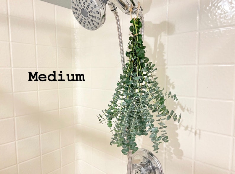 Large Fresh Eucalyptus Shower Bundle Aromatherapy Eucalyptus Etsy