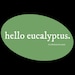 Hello Eucalyptus