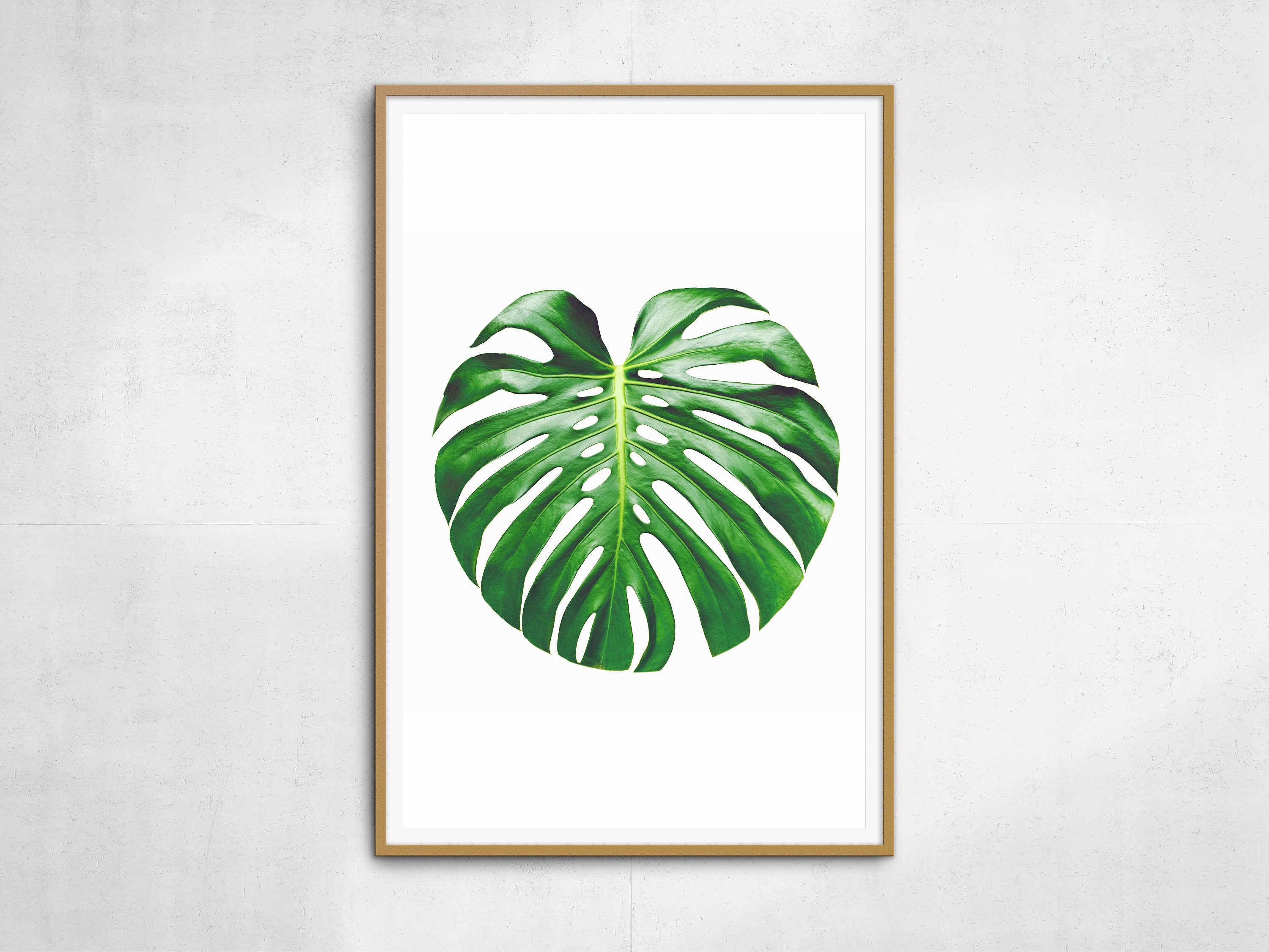 Printable monstera - Etsy.de