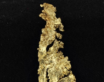 The Feather......Brilliant Crystallized Gold specimen from The Round Mountain Mine in Nevada
