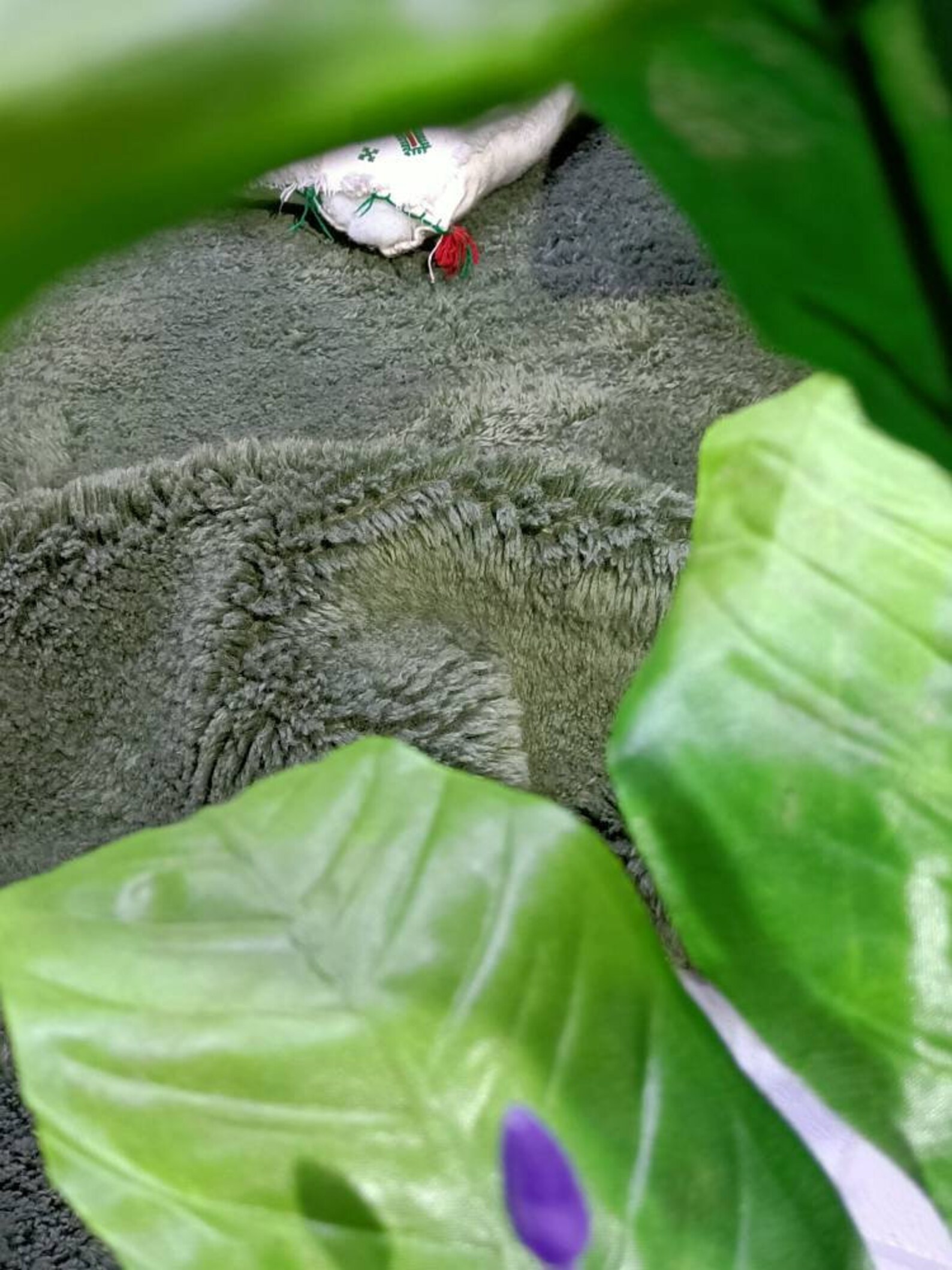 Sage Green Rug Green Moroccan Rug Sage Green Moroccan Rug Etsy