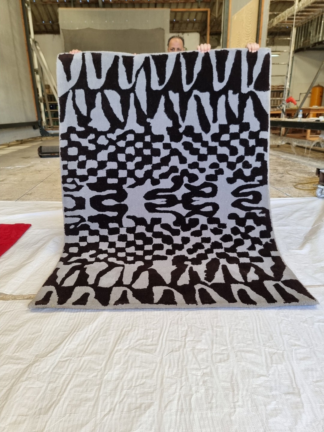 Moroccan Rug Gray, Plush Rug for Living Room, Black Moroccan Rug