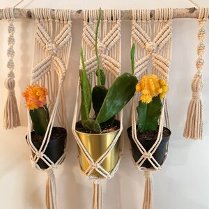 May include: Three potted plants hanging from a macrame wall hanging. The macrame is made of natural beige cotton rope and has a wooden dowel at the top. The plants are in black and gold pots. The plants are green with orange and yellow flowers.