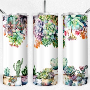 Succulents 20 Oz Skinny Tumbler Sublimation Design Digital Download PNG ...