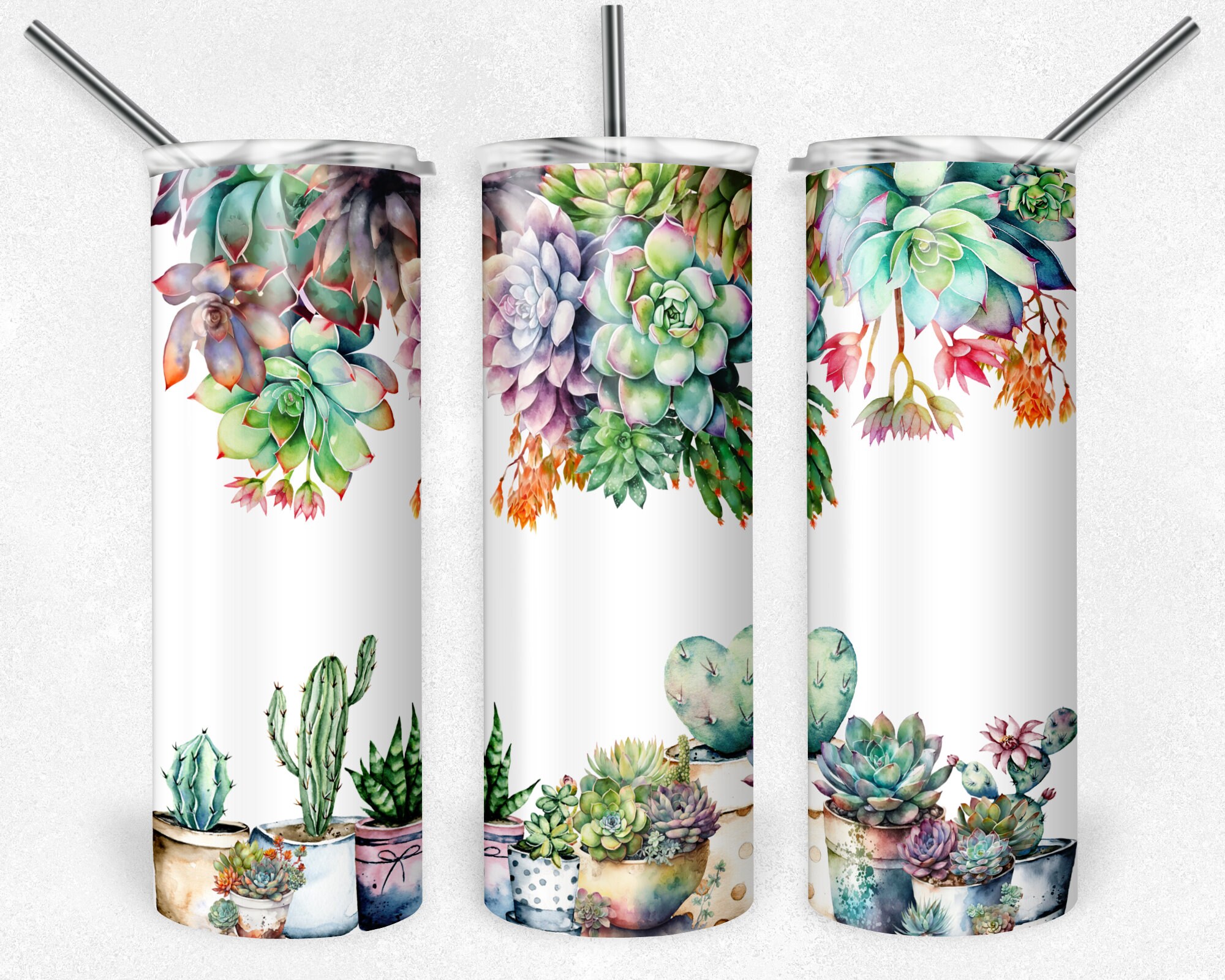 Succulents 20 Oz Skinny Tumbler Sublimation Design Digital Download PNG ...