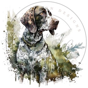 May include: Watercolor painting of a German Shorthaired Pointer dog with brown and white fur, sitting in a green and brown watercolor background. The dog is looking to the right of the image.