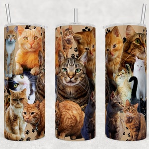 All the Cats 20oz Skinny Tumbler Sublimation Design Templates, Cat Owner Tumbler Straight PNG Digital Download Cute Cat  Design