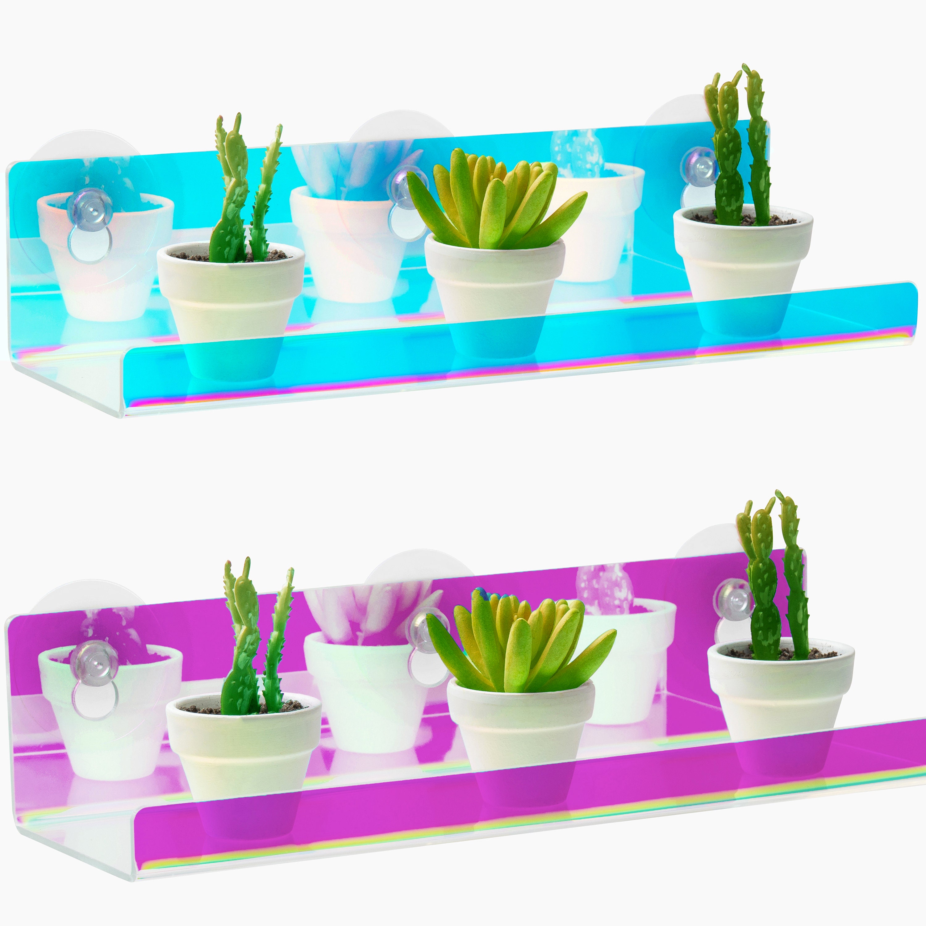 Suction Cup Shelf 