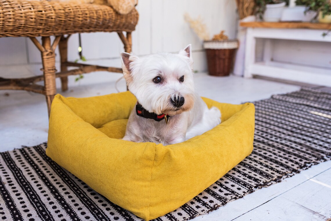 Yellow dog bed with removable cover pet bed gift for dog Etsy