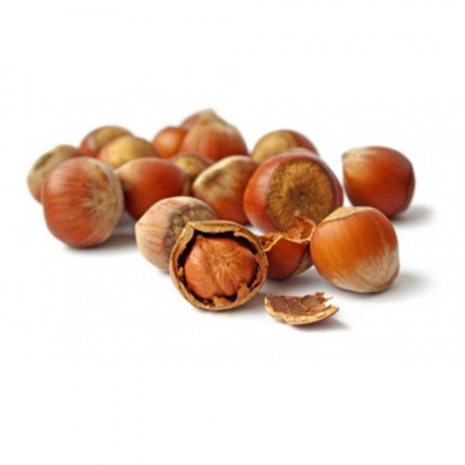 Avellana entera de 1 lb en cáscara nueces frescas naturales Etsy