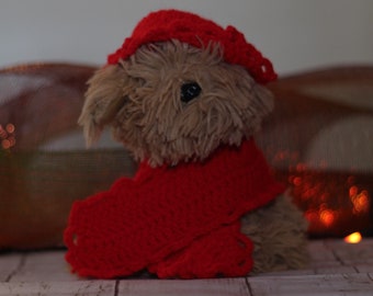 Cat / Small Dog Crochet Beret and Scarf