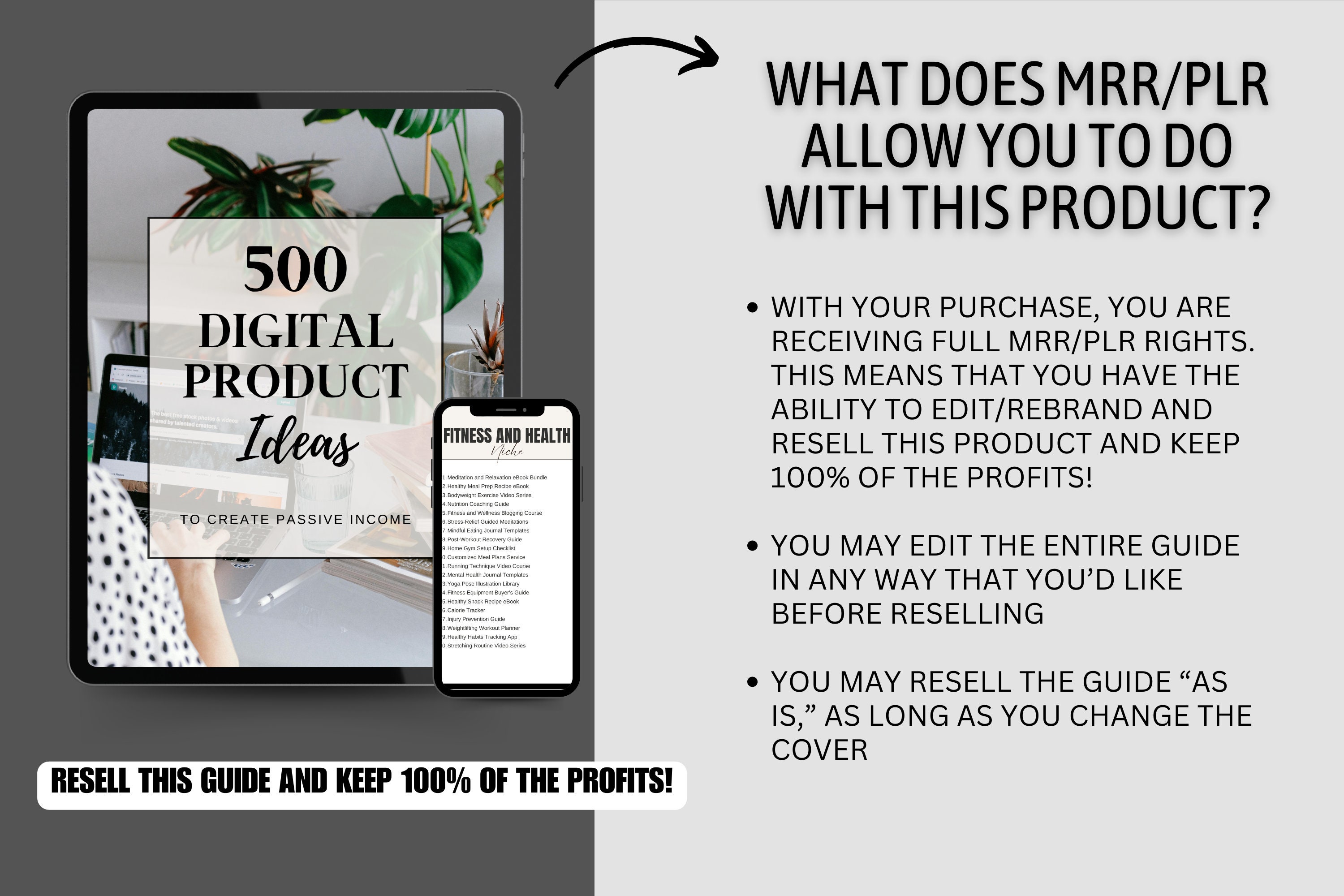 500 Digital Product Ideas Guide: MRR & PLR, Canva Editable (ebook) - Etsy