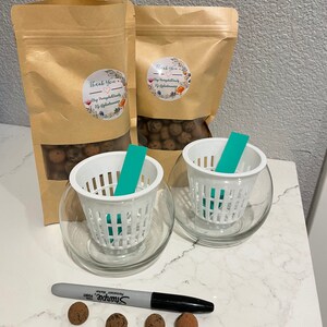 May include: Two clear glass bowls each hold a white plastic basket with a teal insert. Two brown paper bags with clear windows are behind the bowls. A black marker and several brown clay balls are in front of the bowls.