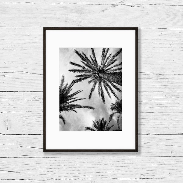 Fotografie Palmen an Mallorcas Küste (21x30cm) / Fotodruck / Wanddeko / Schwarzweiß