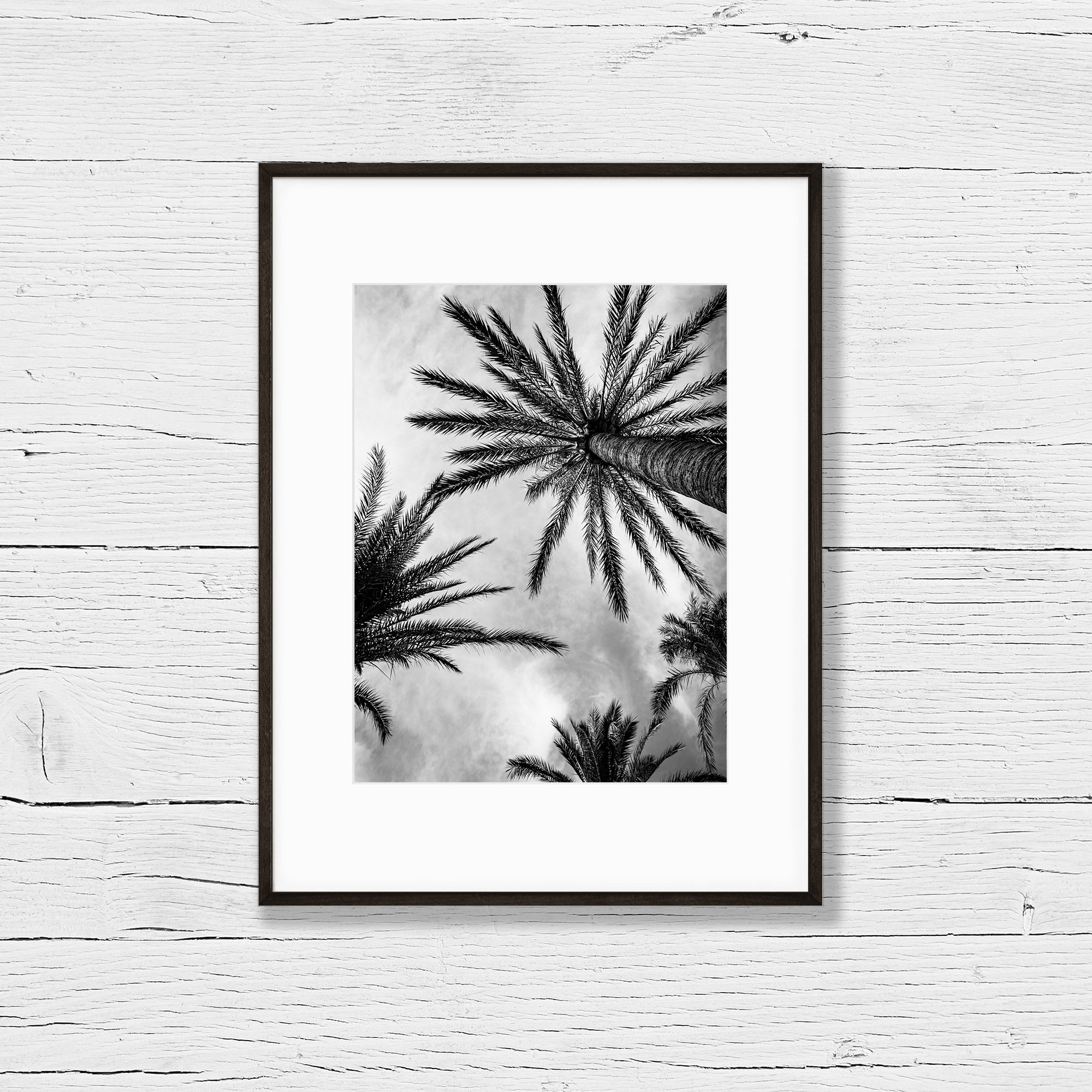 Print "Palm Trees in Mallorca"  (21x30cm) / Black and White Photography / Wall Decorations / Spain