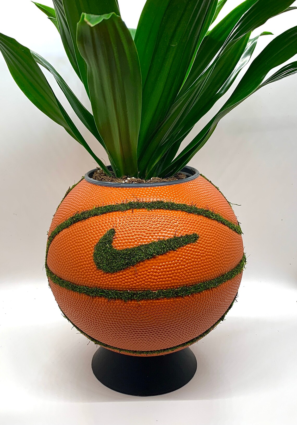 Moss Swoosh Mini Nike Basketball Planter Classic Orange Etsy España