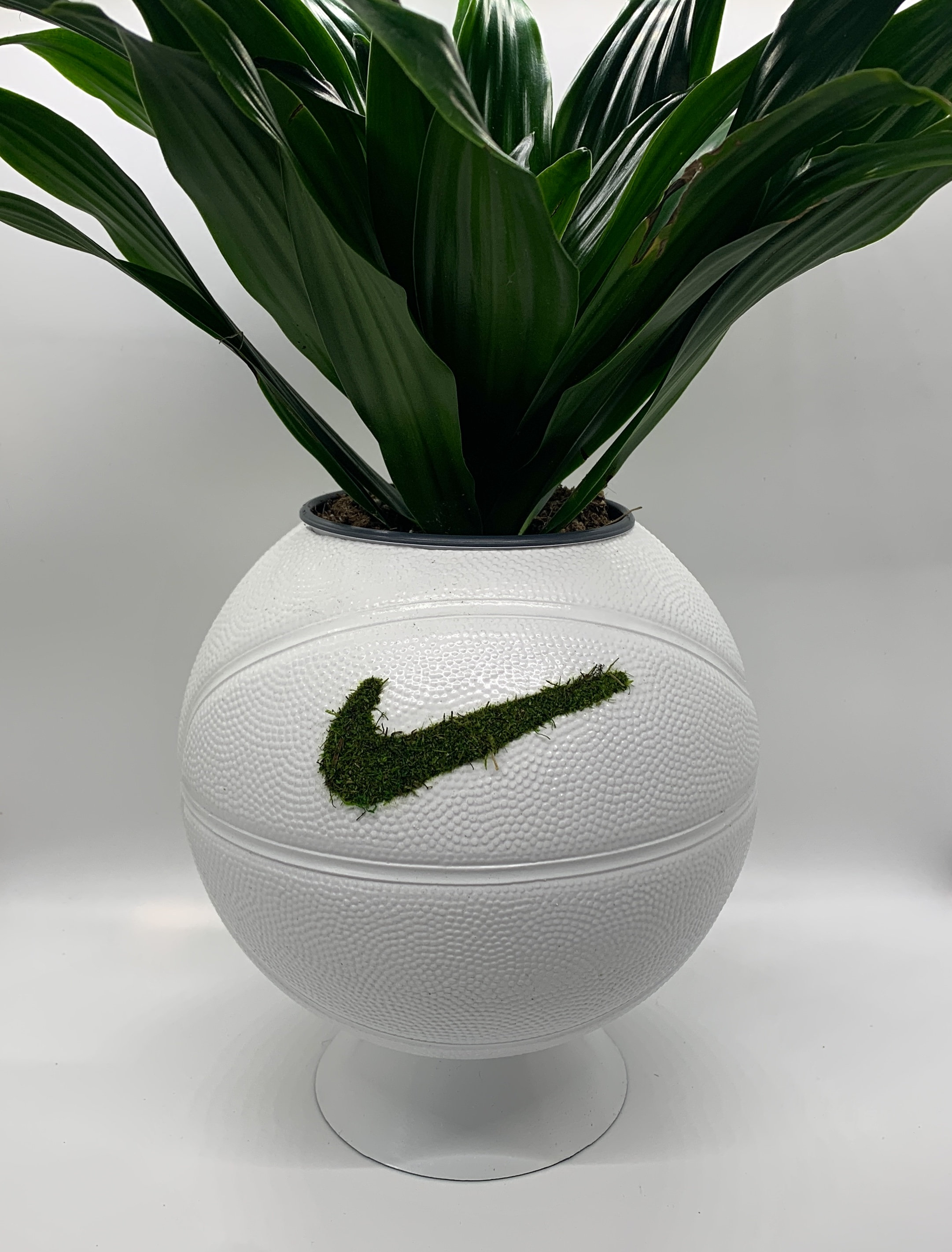 Moss Swoosh Mini Nike Basketball Planter White Etsy.de