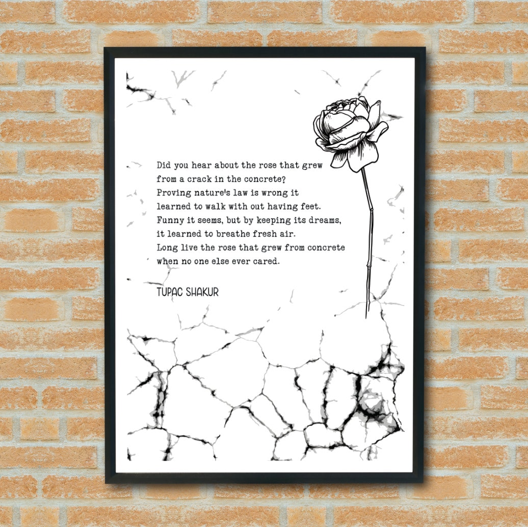 The Rose That Grew From Concrete Tupac Shakur Poem Etsy