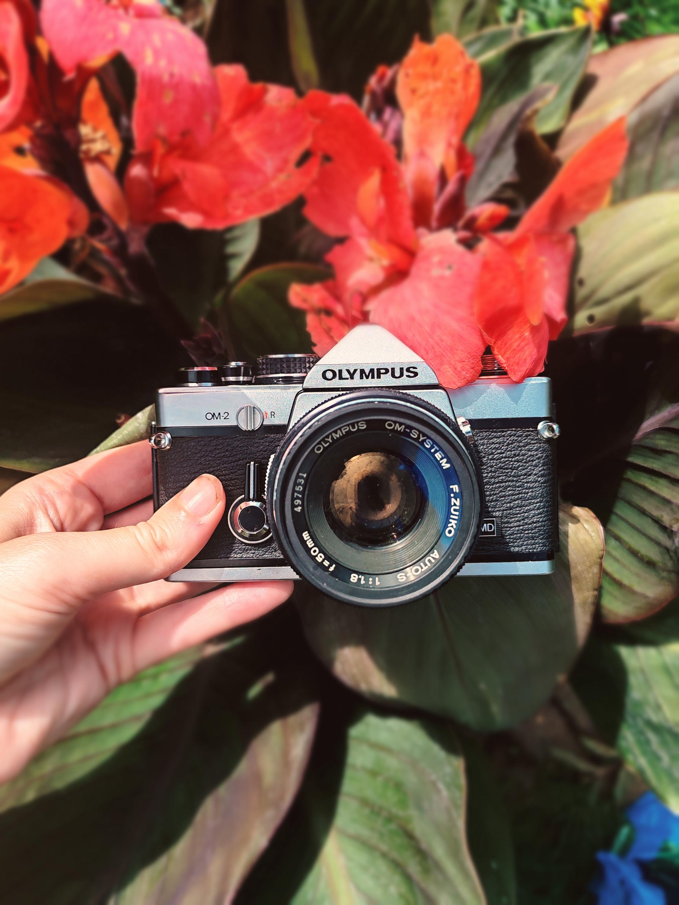 Olympus OM-2 35mm Film Camera W/ 50mm F1.8 Zuiko Lens